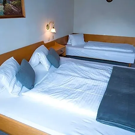 住宿加早餐酒店 Landhaus-pension Pattis 萨尔巴赫
